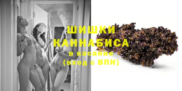 сатива Гусиноозёрск