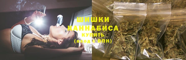 спиды Горняк