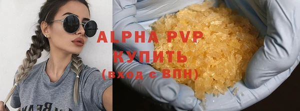 спиды Горняк