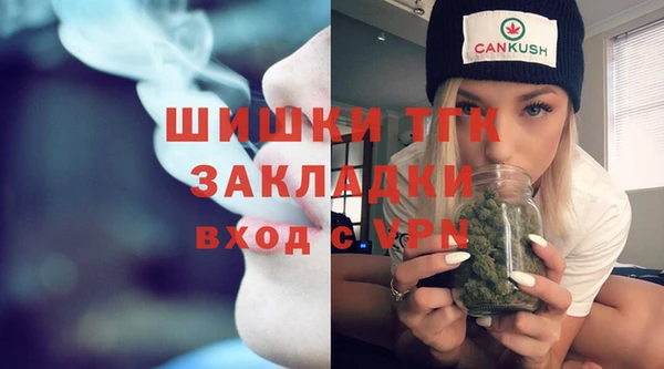 молекула духа Вяземский