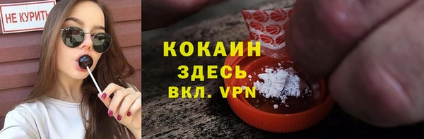 сатива Гусиноозёрск