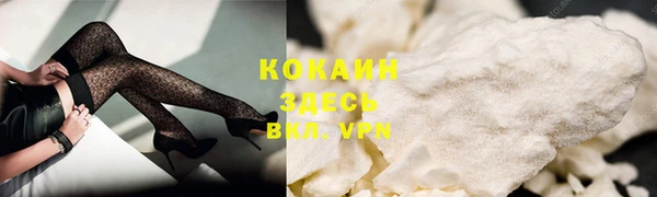хмурый Гусев