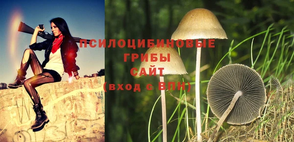 хмурый Гусев