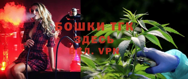 стафф Вязьма